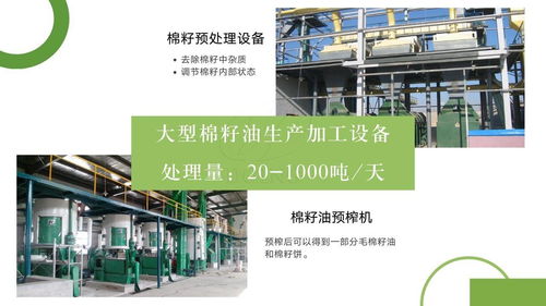 成套棉籽油生產加工設備 大中小型棉籽油生產加工設備 廠家供應